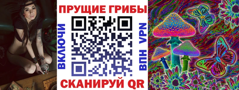 Галлюциногенные грибы Cubensis дарнет шоп Ессентукская